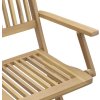 Skládací zahradní židle 8 ks 54x61x88 cm masivní akácie [3214231] (Barva Světle hnědá)