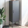 Skříň highboard 36 x 39 x 123 cm ocel [846524] (Barva Černá)