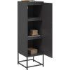 Skříň highboard 36 x 39 x 123 cm ocel [846524] (Barva Černá)
