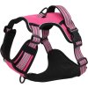 Postroj pro psy s vodítkem a obojkem nastavitelný L [4013394] (Barva Růžová)