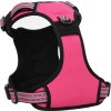 Postroj pro psy s vodítkem a obojkem nastavitelný L [4013394] (Barva Růžová)