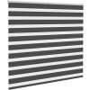 Zebra roleta šířka látky 155,9 cm polyester [4014325] (Barva Hnědá)