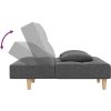 2místná rozkládací pohovka se 2 polštáři textil [375792] (Barva Světle šedá)
