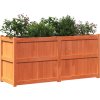 Zahradní truhlík voskově hnědý 150x50x70 cm masivní borovice [837490] (Barva Bílá borovice)
