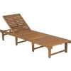 Skládací zahradní lehátko s poduškou masivní akáciové dřevo [3064172] (Barva Taupe)