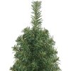 Úzký umělý vánoční stromek se stojanem 150 cm PVC [320949] (Barva Zelená)