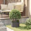 8721288593177 mo im en hd 2
