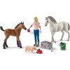 Hračka Schleich Návštěva lékaře u klisny a hříběte  [6843348]