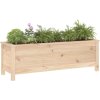 Zahradní vyvýšený záhon černý 119,5x40x39 cm masivní borovice [825263] (Barva Šedá borovice)