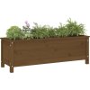 Zahradní vyvýšený záhon černý 119,5x40x39 cm masivní borovice [825263] (Barva Šedá borovice)