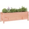 Zahradní vyvýšený záhon černý 119,5x40x39 cm masivní borovice [825263] (Barva Šedá borovice)