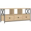 TV skříňka 102x33x45 cm kompozitní dřevo a železo [831789] (Barva dub sonoma)