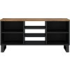 TV skříňka 100x33x46 cm masivní recyklované a kompozitní dřevo [351967] (Barva Hnědá)