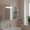 Koupelnová zrcadlová skříňka s LED osvětlením 60x13x52 cm [357971]