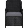 Zahradní židle 2 ks s poduškami polyratan [44146] (Barva Černá)