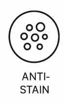ant