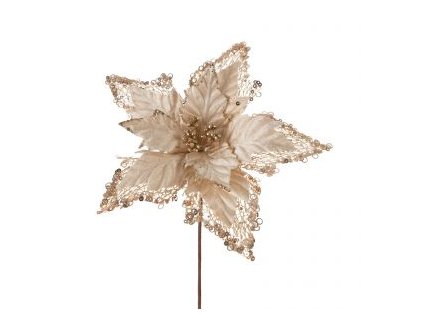 11676 vanocni kvet 84 sampan