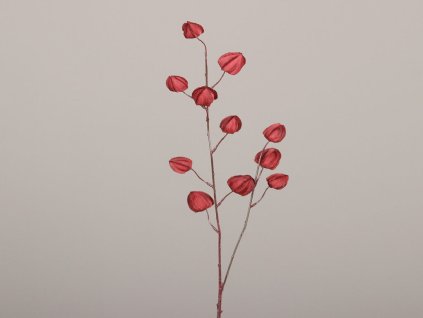 Dekorace Mochyně, červená, 90cm|DPI