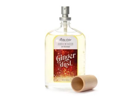 Osvěžovač vzduchu 100 ml. Ginger Dust|Boles D´olor