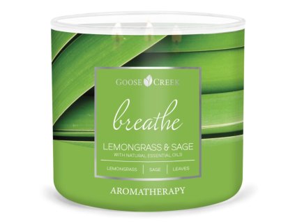 Svíčka AROMATHERAPY 0,41 KG LEMONGRASS & SAGE, 3 knoty|GOOSE CREEK