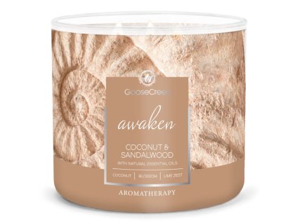 Svíčka AROMATHERAPY 0,41 KG COCONUT & SANDALWOOD, 3 knoty|GOOSE CREEK