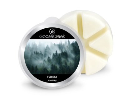 Vosk FOREST, 59g , do aroma lampy|GOOSE CREEK