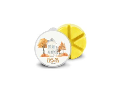 Vosk RAKING LEAVES, 59g , do aroma lampy|GOOSE CREEK