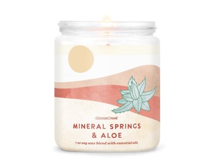 Svíčka s 1-knotem 0,2 KG MINERAL SPRINGS & ALOE|GOOSE CREEK