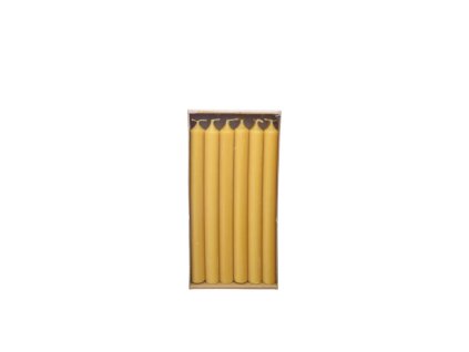 ZWE 39TRSP250221213