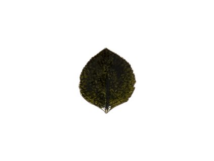 ZCN VEP171 FRT