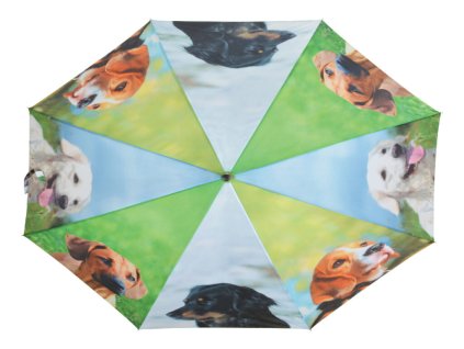ZEE TP245