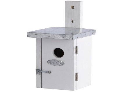 ZEE NK38W
