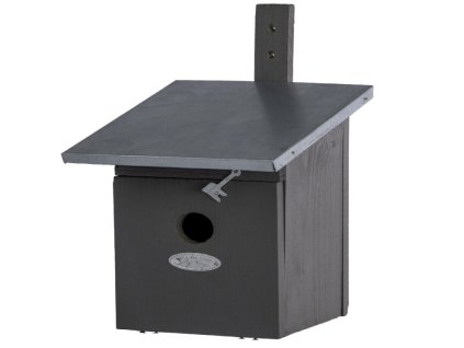 ZEE NK40G
