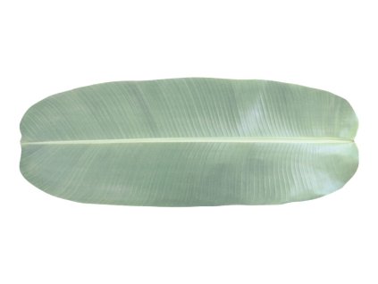 Stolní prostírka List, set 10ks|Esschert Design