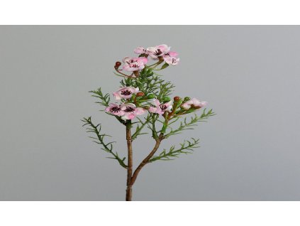 Byliny svazek, vosková, růžová, 25cm|DPI