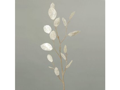 Dekorace Lunaria, bílá, 86cm|DPI