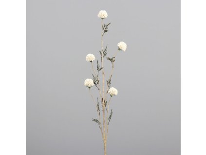 ZDP 43122 05