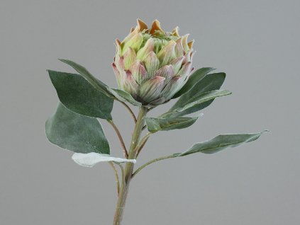 ZDP 42984 01