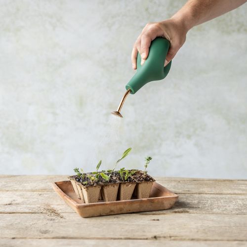 Zavlažovanie rastlín – Home Bohema