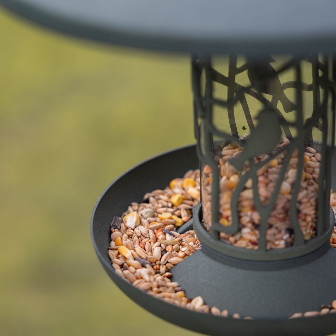 Krmivo pre vtáčiky