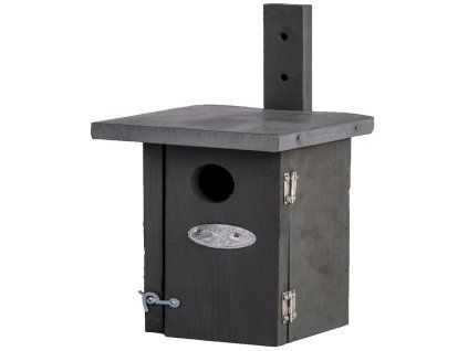ZEE NK38G