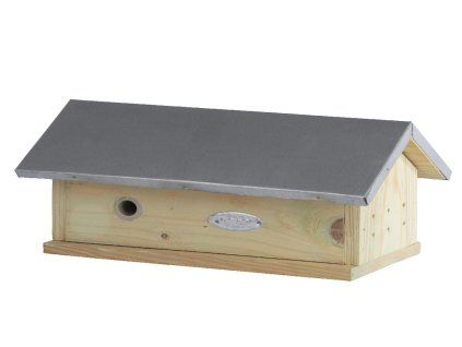 ZEE WA08
