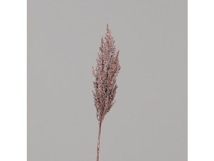 ZDP 25208 31