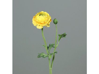 ZDP 43578 04
