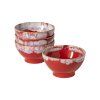 ZCN DSS09 RED