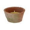 ZEE FF254 003