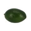 ZEE AH028 002