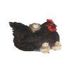 ZEE 37000047 003