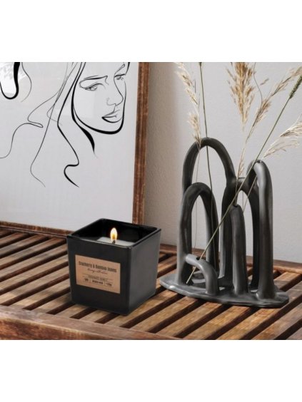 Vonná svíčka 170g v černé sklenici s vůní brusinek a bambusových listů