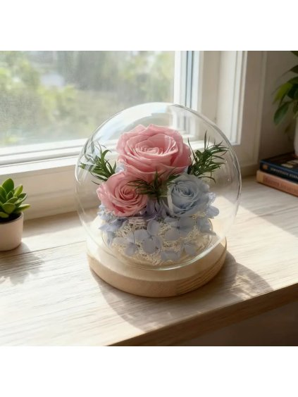 Stabilizovaná květina, věčná růže